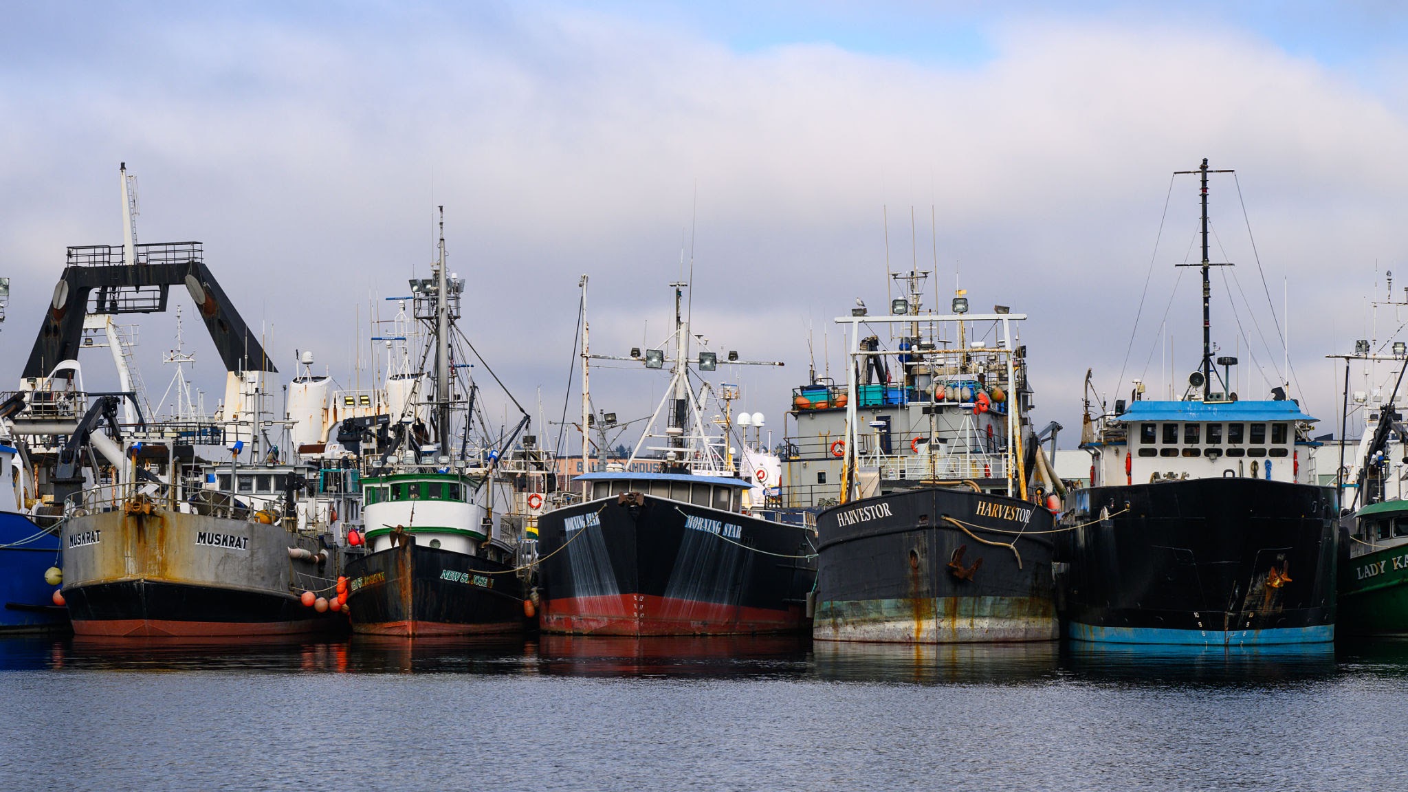 FAO Fishery Fleet Statistics