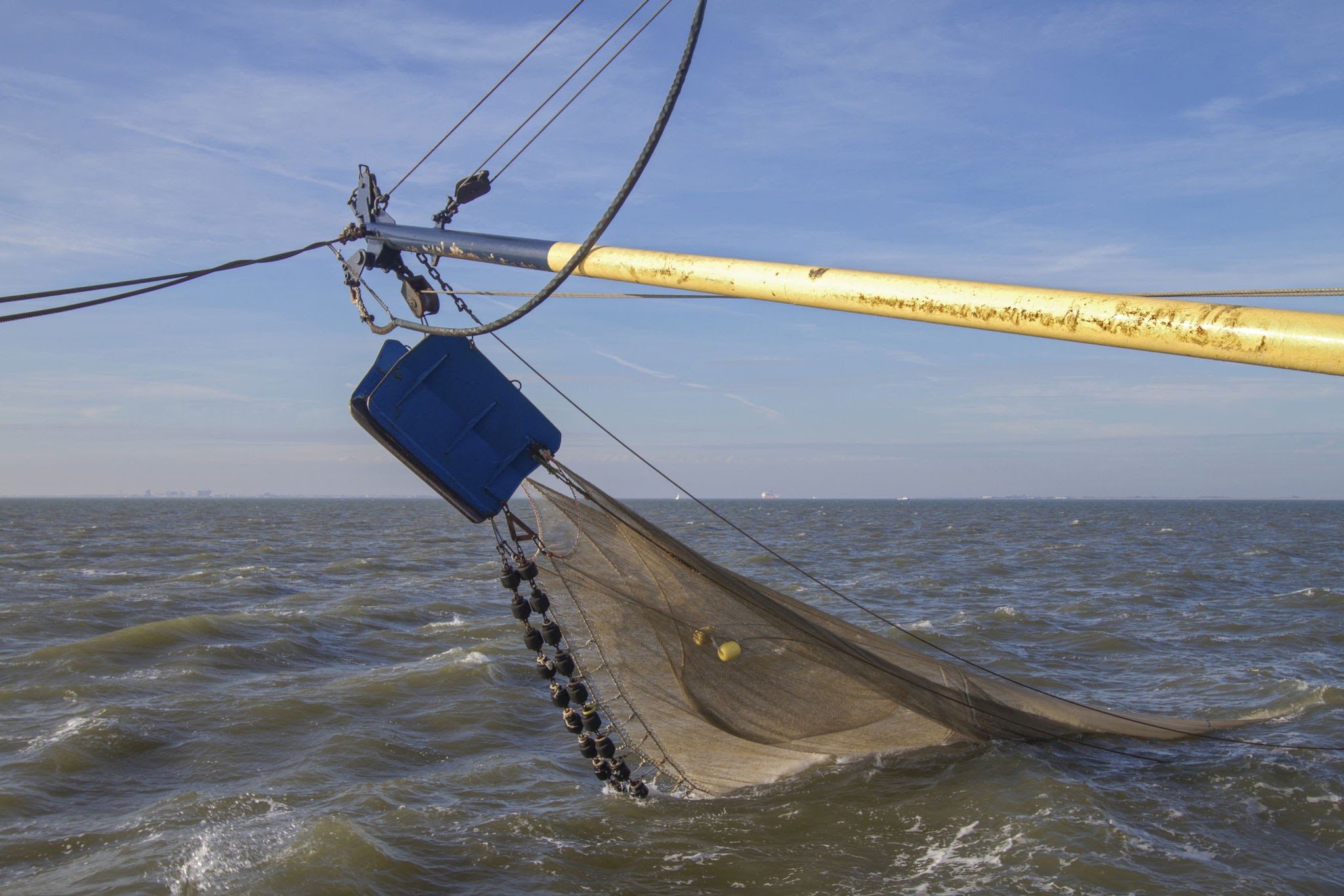 NOAA Fisheries